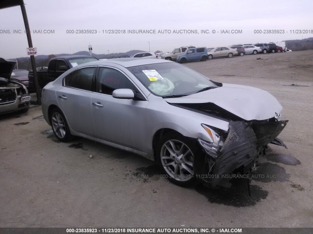 1N4AA5AP0EC494768 - 2014 NISSAN MAXIMA S/SV SILVER photo 1