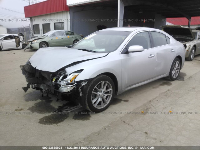 1N4AA5AP0EC494768 - 2014 NISSAN MAXIMA S/SV SILVER photo 2