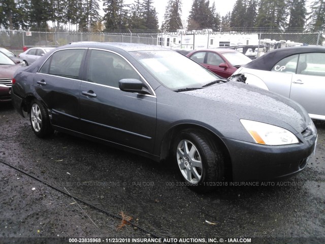 1HGCM66565A031408 - 2005 HONDA ACCORD EX GRAY photo 1