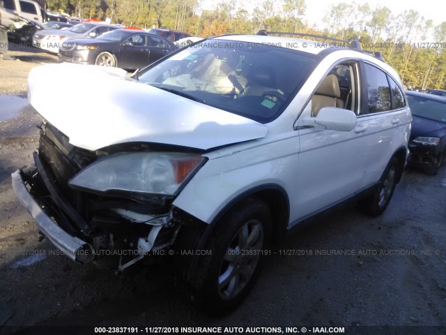 5J6RE38708L011001 - 2008 HONDA CR-V EXL WHITE photo 2