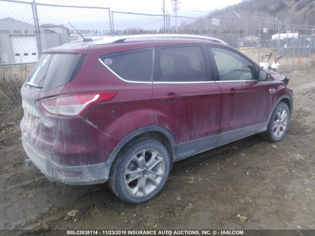 1FMCU9J94EUA22193 - 2014 FORD ESCAPE TITANIUM RED photo 4