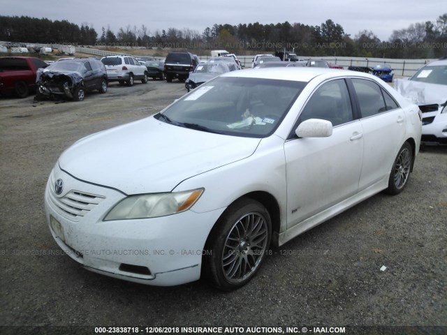 4T1BE46K49U868790 - 2009 TOYOTA CAMRY SE/LE/XLE WHITE photo 2