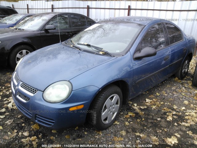 1B3ES26C53D172200 - 2003 DODGE NEON SE BLUE photo 2