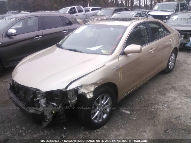 4T1BB3EK1AU116232 - 2010 TOYOTA CAMRY HYBRID GOLD photo 2