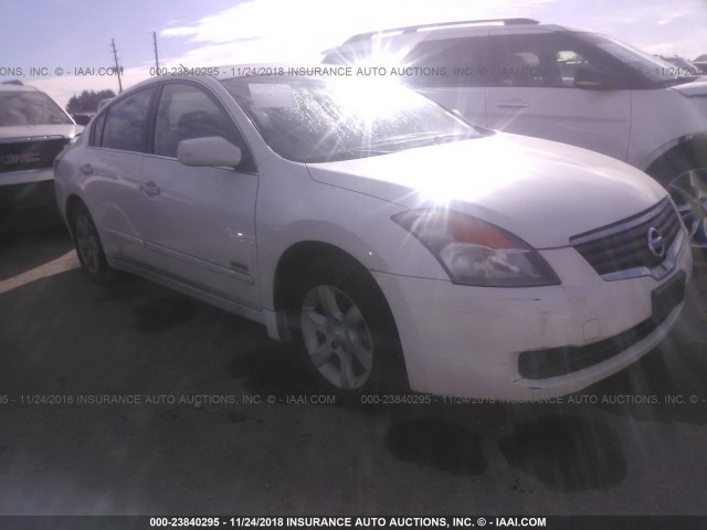 1N4CL21E48C209865 - 2008 NISSAN ALTIMA HYBRID WHITE photo 1