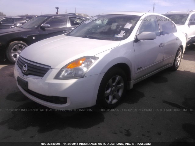 1N4CL21E48C209865 - 2008 NISSAN ALTIMA HYBRID WHITE photo 2