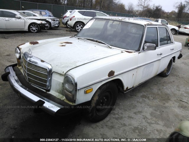 11511712048567 - 1974 MERCEDES-BENZ 240D WHITE photo 2