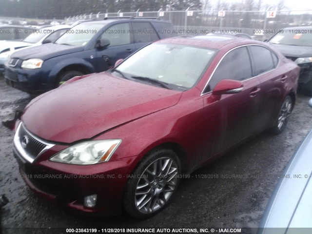 JTHCK262192029664 - 2009 LEXUS IS 250 RED photo 2