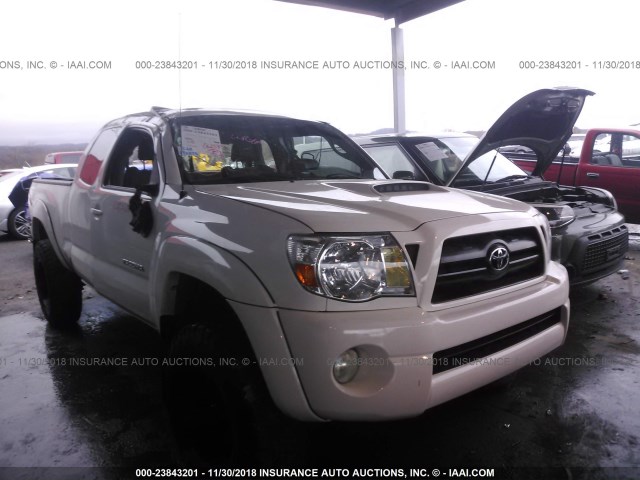 5TEUU42N96Z239836 - 2006 TOYOTA TACOMA ACCESS CAB თეთრი ფოტო 1
