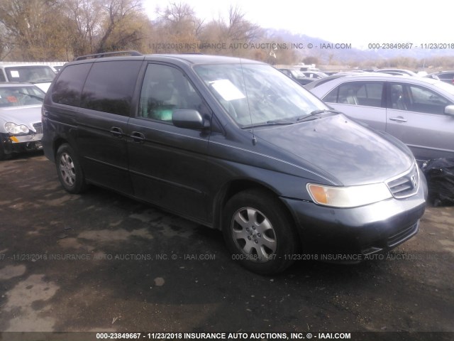 5FNRL18994B003087 - 2004 HONDA ODYSSEY EXL BLUE photo 1