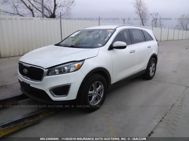 5XYPG4A30GG010302 - 2016 KIA SORENTO LX/L WHITE photo 2