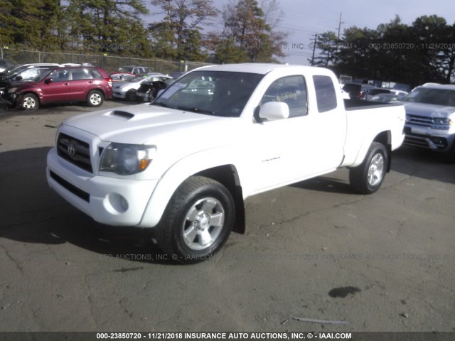 5TEUU4EN3AZ736949 - 2010 TOYOTA TACOMA ACCESS CAB თეთრი ფოტო 2