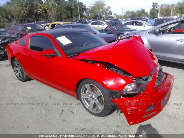 1ZVBP8CF9D5244500 - 2013 FORD MUSTANG GT RED photo 1