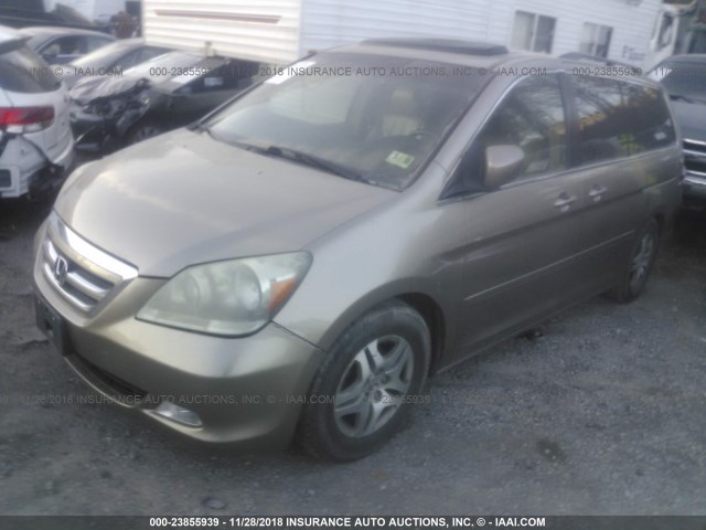 5FNRL387X6B412776 - 2006 HONDA ODYSSEY EXL GOLD photo 2