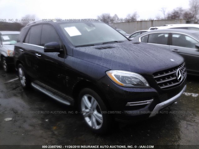 4JGDA5HB2EA383602 - 2014 MERCEDES-BENZ ML 350 4MATIC BLUE photo 1