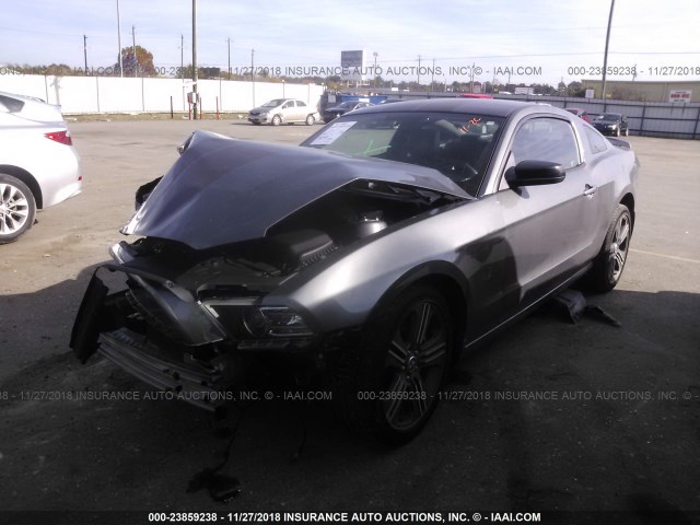 1ZVBP8AM2E5312946 - 2014 FORD MUSTANG GRAY photo 2