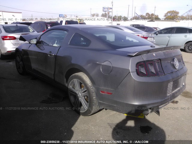 1ZVBP8AM2E5312946 - 2014 FORD MUSTANG GRAY photo 3