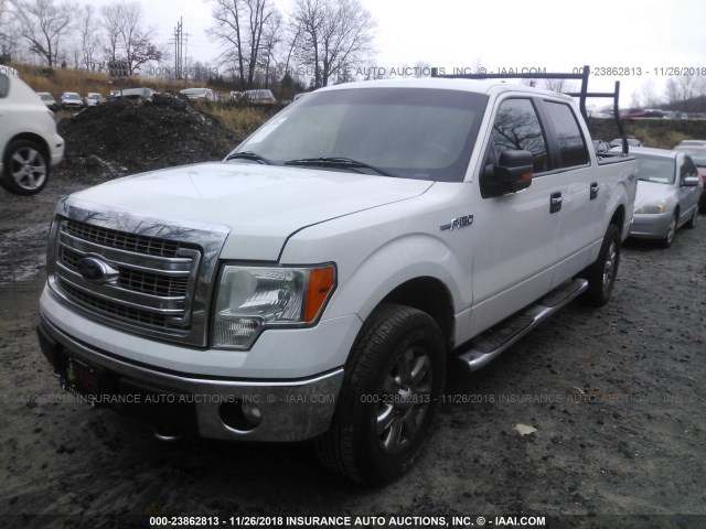 1FTFW1E68DFC12076 - 2013 FORD F150 SUPERCREW WHITE photo 2