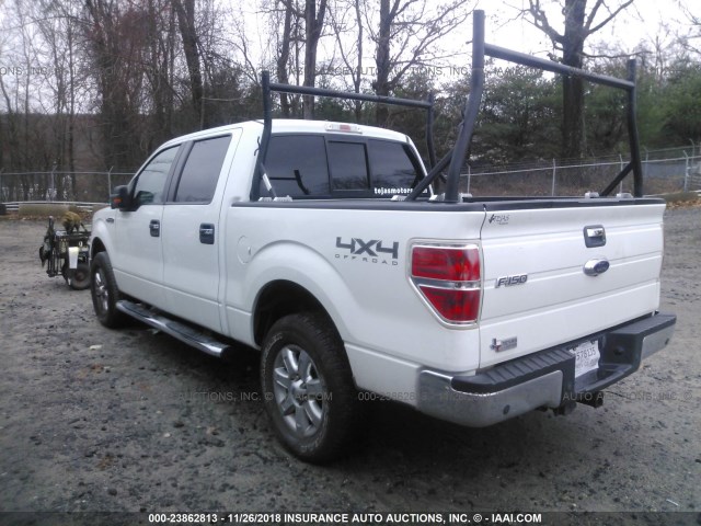 1FTFW1E68DFC12076 - 2013 FORD F150 SUPERCREW WHITE photo 3