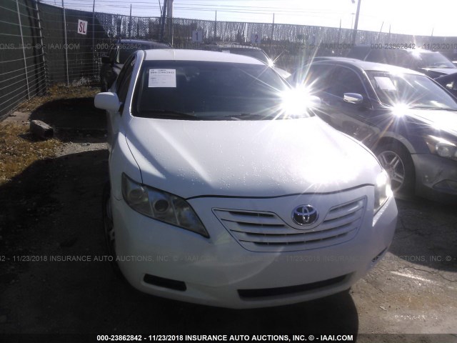 4T1BE46K19U887748 - 2009 TOYOTA CAMRY SE/LE/XLE WHITE photo 6