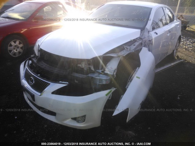 JTHCF5C28A2034469 - 2010 LEXUS IS 250 WHITE photo 2