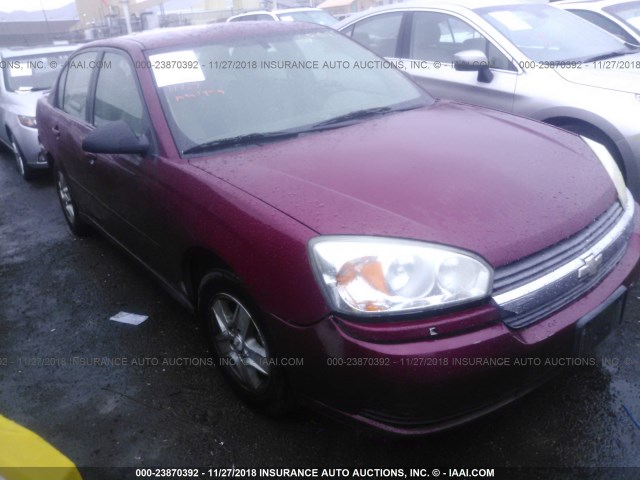 1G1ZT54865F181579 - 2005 CHEVROLET MALIBU LS RED photo 1