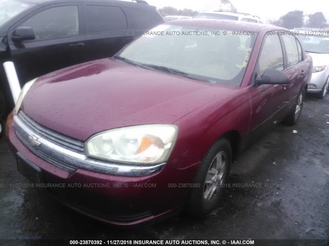 1G1ZT54865F181579 - 2005 CHEVROLET MALIBU LS RED photo 2
