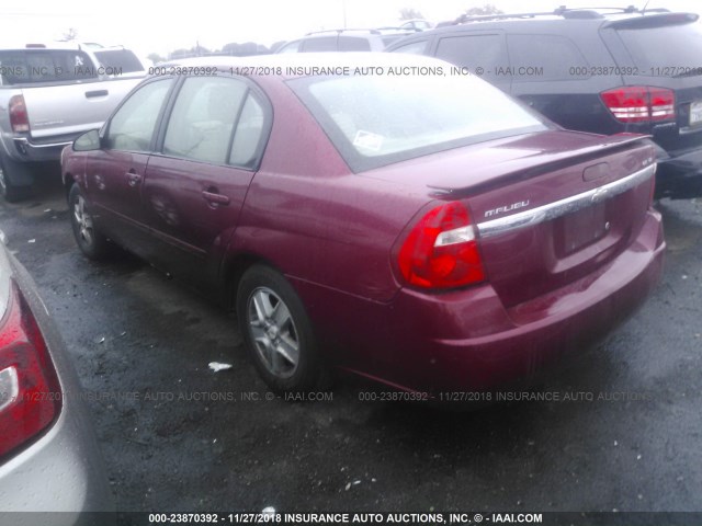 1G1ZT54865F181579 - 2005 CHEVROLET MALIBU LS RED photo 3