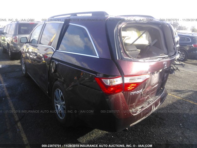 5FNRL5H68BB031778 - 2011 HONDA ODYSSEY EXL BURGUNDY photo 3