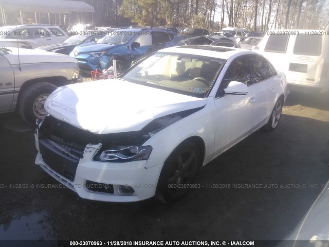 WAUMF78K49N036494 - 2009 AUDI A4 PRESTIGE WHITE photo 2