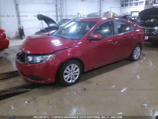 KNAFU4A26D5737098 - 2013 KIA FORTE EX RED photo 2