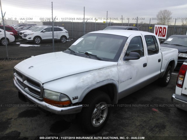 1B7GL2AX8YS723107 - 2000 DODGE DAKOTA QUAD WHITE photo 2