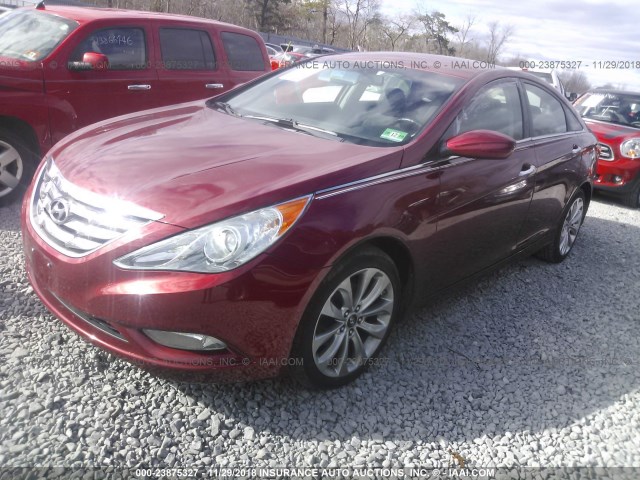 5NPEC4AC9BH143323 - 2011 HYUNDAI SONATA SE/LIMITED RED photo 2