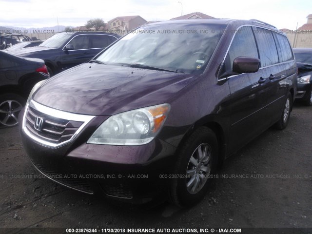 5FNRL3H67AB072020 - 2010 HONDA ODYSSEY EXL BURGUNDY photo 2