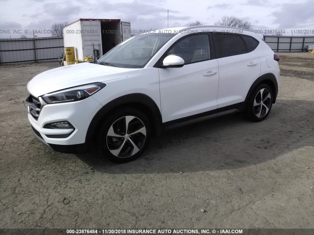 KM8J33A23GU203007 - 2016 HYUNDAI TUCSON LIMITED/SPORT AND ECO/SE WHITE photo 2