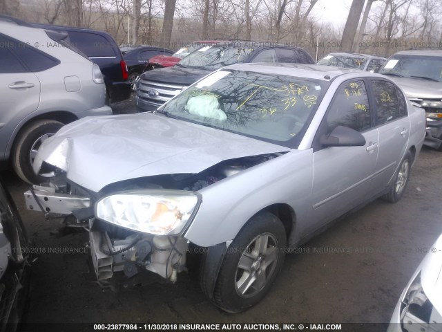 1G1ZT54835F283633 - 2005 CHEVROLET MALIBU LS SILVER photo 2
