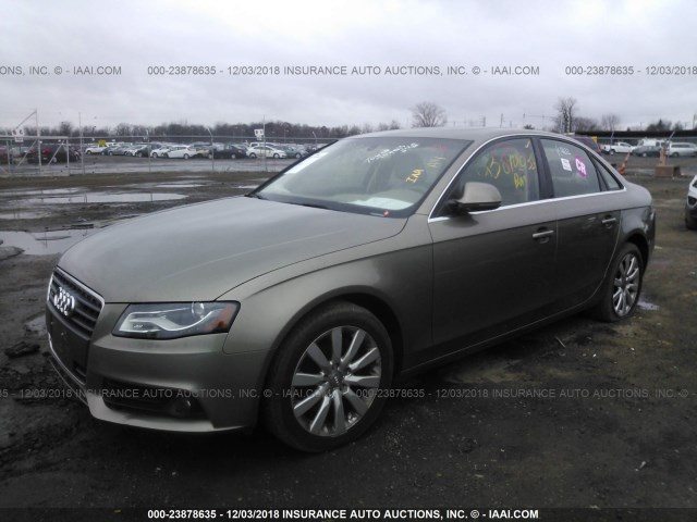 WAUSF78KX9N050195 - 2009 AUDI A4 PREMIUM PLUS TAN photo 2