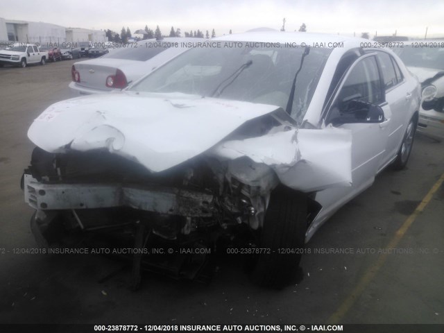 1G1ZA5E04CF287637 - 2012 CHEVROLET MALIBU LS 白色 照片 2