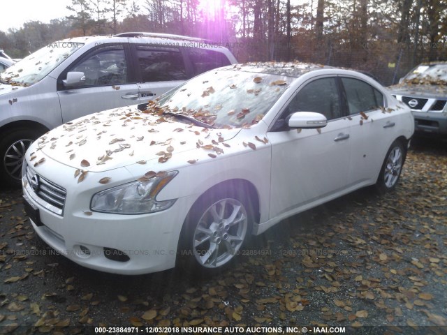 1N4AA5AP1DC822164 - 2013 NISSAN MAXIMA S/SV WHITE photo 2