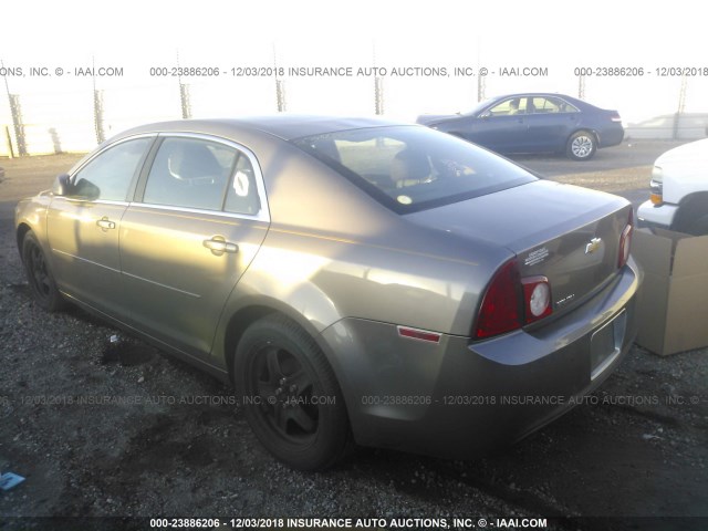 1G1ZA5EB3AF307536 - 2010 CHEVROLET MALIBU LS 棕色 照片 3