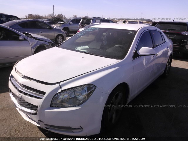 1G1ZC5EU1CF349654 - 2012 CHEVROLET MALIBU 1LT WHITE photo 2