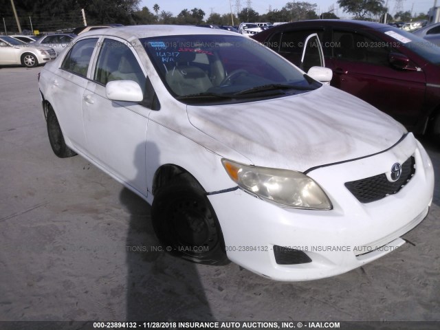 2T1BU40E39C158920 - 2009 TOYOTA COROLLA S/LE/XLE WHITE photo 1