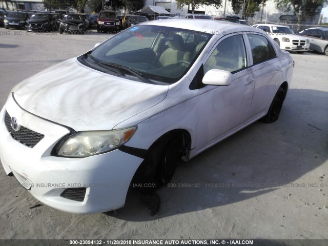 2T1BU40E39C158920 - 2009 TOYOTA COROLLA S/LE/XLE WHITE photo 2