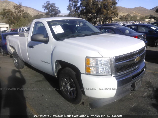 1GCNCPEA7BZ447916 - 2011 CHEVROLET SILVERADO C1500 WHITE photo 1