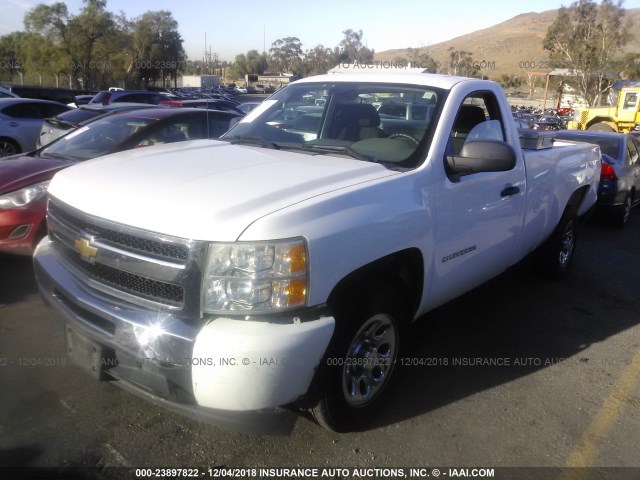 1GCNCPEA7BZ447916 - 2011 CHEVROLET SILVERADO C1500 WHITE photo 2