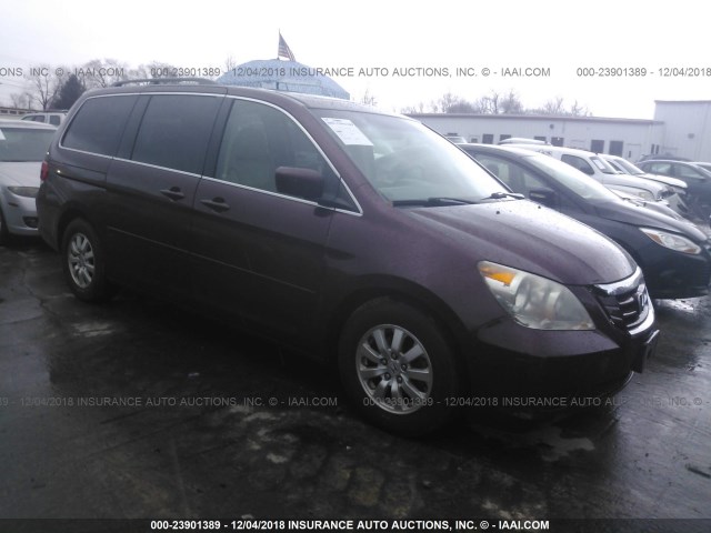 5FNRL38718B114944 - 2008 HONDA ODYSSEY EXL BURGUNDY photo 1