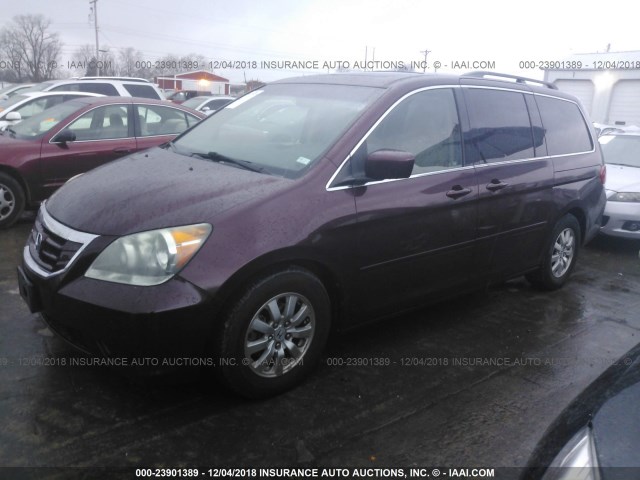 5FNRL38718B114944 - 2008 HONDA ODYSSEY EXL BURGUNDY photo 2