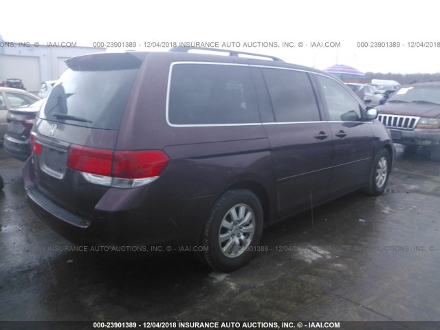 5FNRL38718B114944 - 2008 HONDA ODYSSEY EXL BURGUNDY photo 4