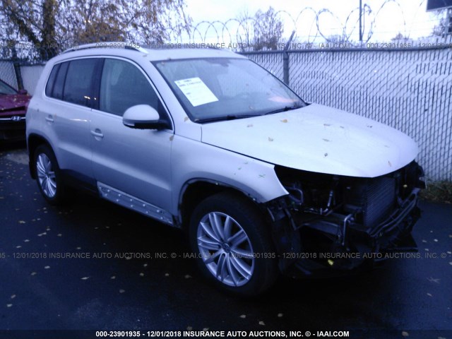 WVGBV7AX6AW001095 - 2010 VOLKSWAGEN TIGUAN SE/SEL SILVER photo 1