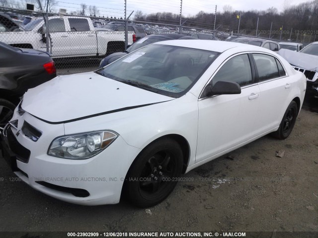 1G1ZA5EU0CF163674 - 2012 CHEVROLET MALIBU LS WHITE photo 2